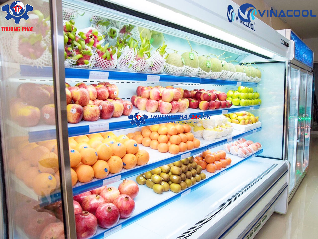 mở cửa hàng trái cây