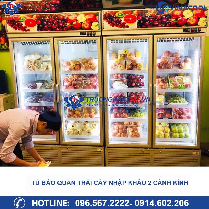 tủ trưng bày hoa quả nhập khẩu 2 cánh kính